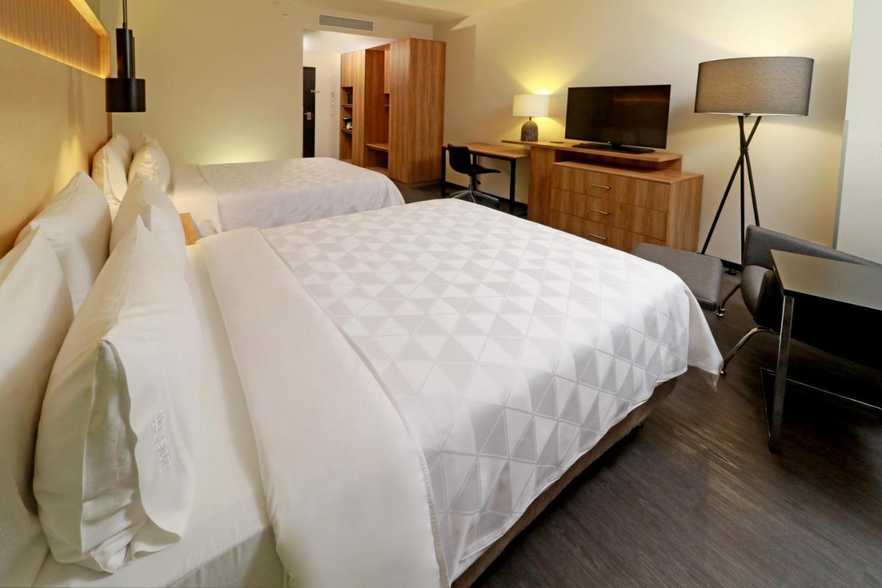 圣路易斯波托西基约特假日酒店（Hotel Holiday San Luis Potosi-quijote By Ihg 5）*
