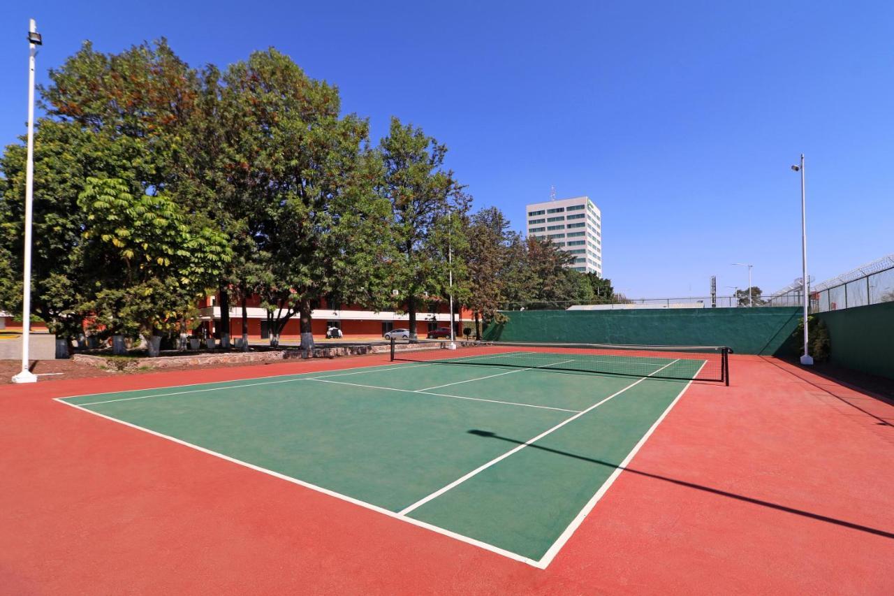 圣路易斯波托西基约特假日酒店（Hotel Holiday San Luis Potosi-quijote By Ihg 5）*